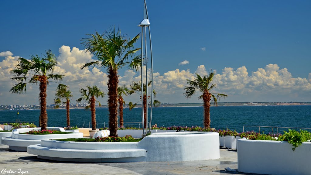Odessa00