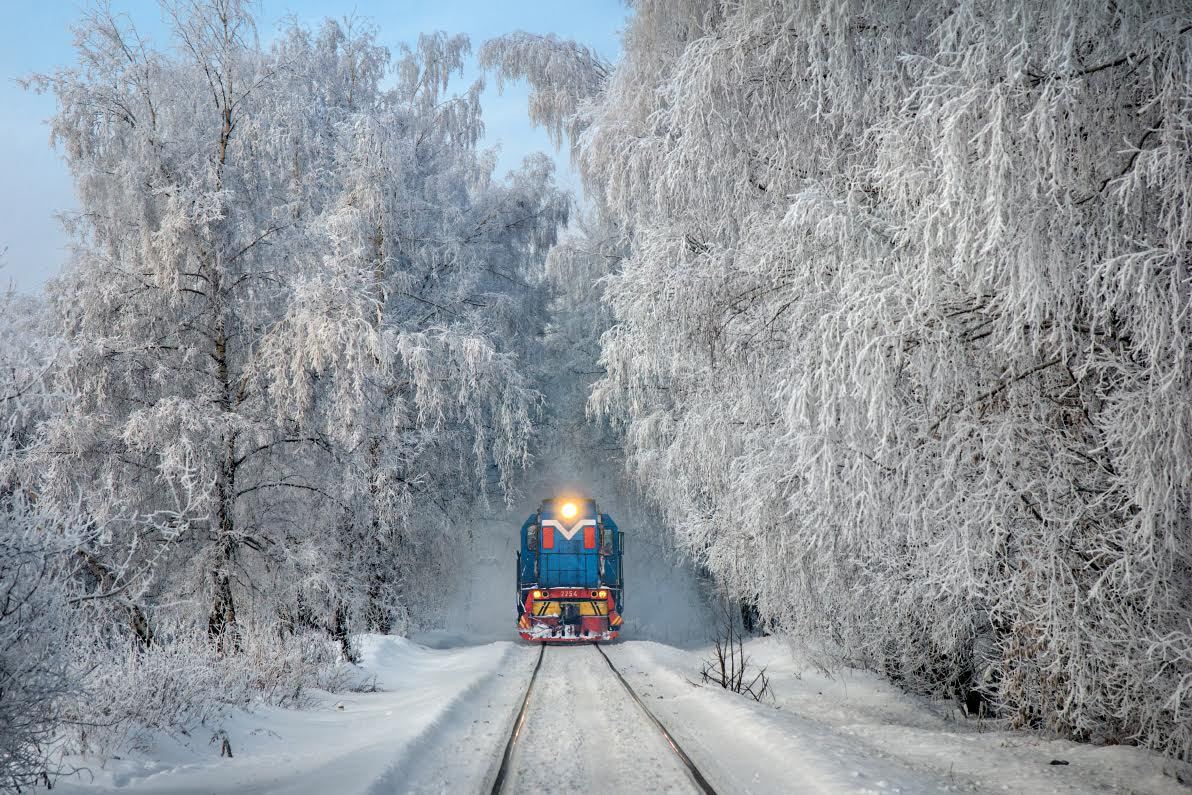 train 5
