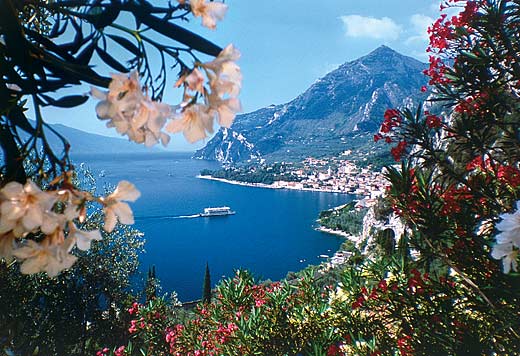 garda