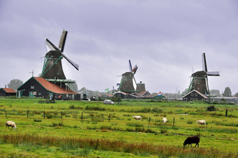 zaan1