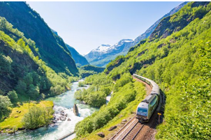 train